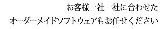 お客様一社一社に合わせたオーダーメイドシステムもお任せください