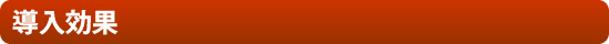 導入効果